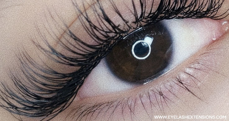 Classic Extensions Manual - Glad Lash