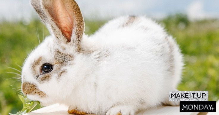 Make It Up Monday - Choosing Cruelty Free Products: It's Easy When You Know the Brands to Look Out For