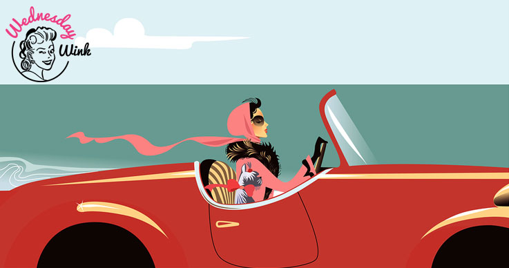 Wink - Mobile Lashing