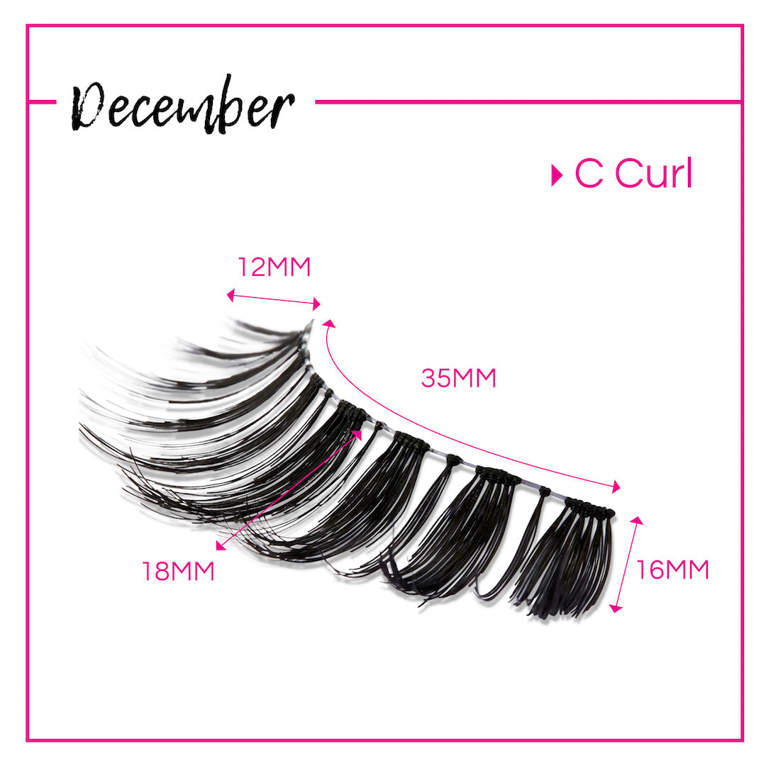 GladGirl False Lashes Bundle - December