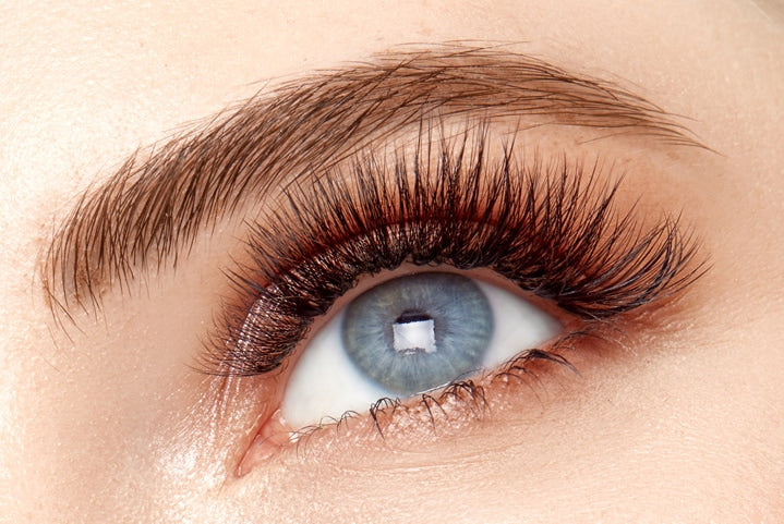 Set of Classic Lashes Eye Closeup