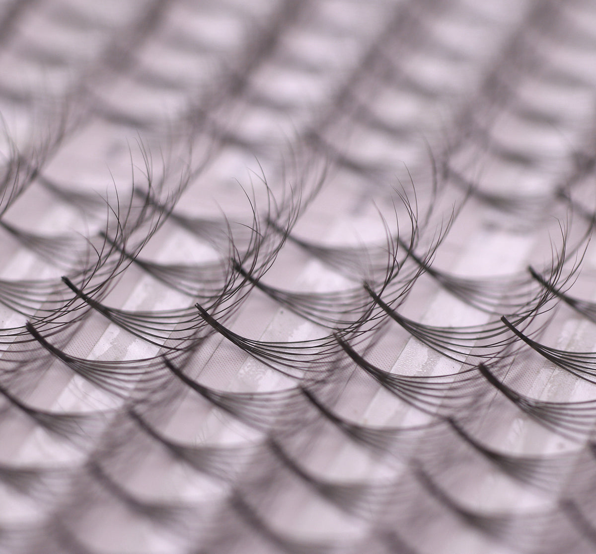 6D Double Layered Signature Mink PreMade Lash Fans - CC Curl &amp; D Curl 0.05 x 8-15mm
