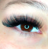Signature Mink Mixed Length Hybrid Lashes