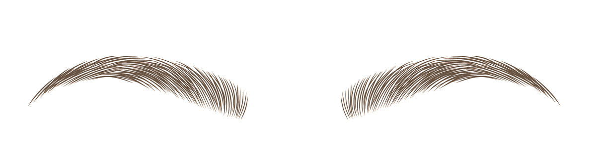 Eyebrows on Point Brow Sculptor