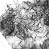 Off the Tray 8D Heat Bonded PreMade Lash Fans