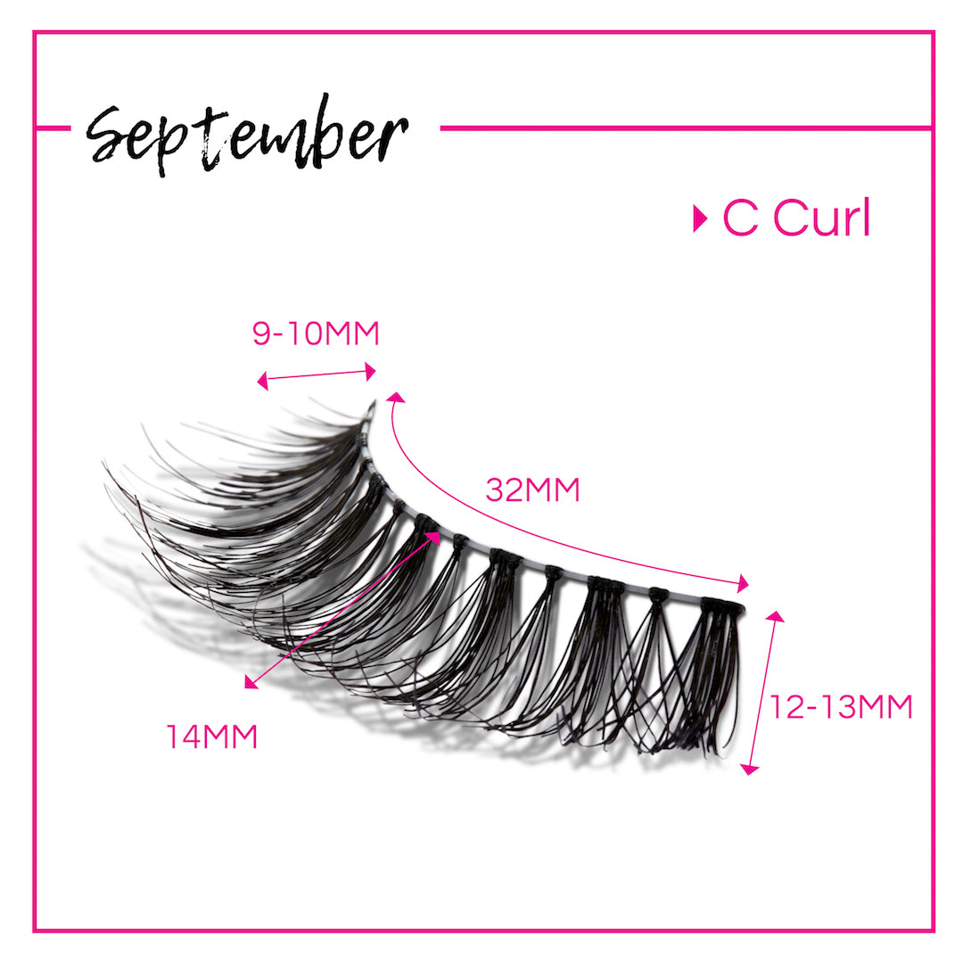 products/A1158-4-September-Strip-Lash.jpg