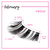 GladGirl False Lash Kit - February