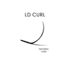 Signature Mink Lashes - LD Curl