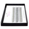 Full tray of Flare Lash Delicates 20D