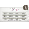 20D Flare lashes by Glad Lash