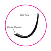 Signature Ellipse Flat Lashes - Matte Finish